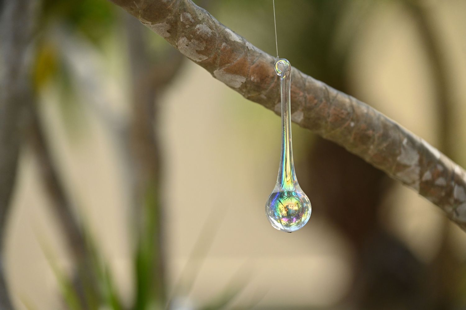 A glass ornament refracting light into colour, hanging in a garden.